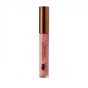Image of Origins Blooming Shine Nourishing Lip Glaze - Rose Blush