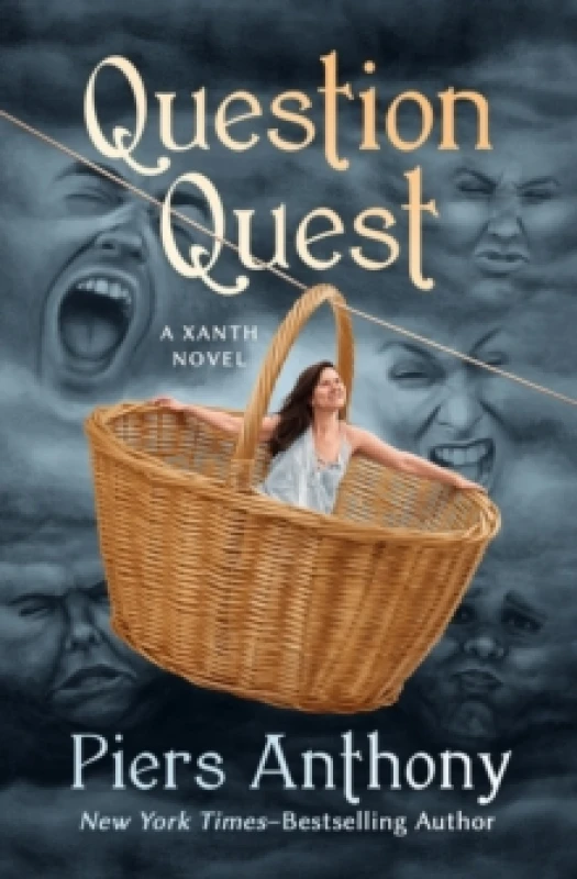 Image of Question Quest Paperback / softback
