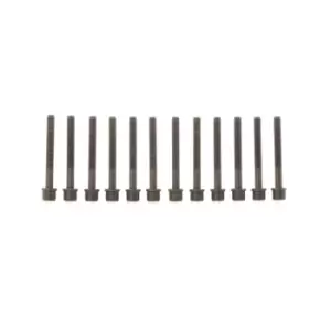 Image of ELRING Cylinder Head Bolt Kit 819.850 Bolt Kit, cylinder head VW,AUDI,Passat Variant (33B),PASSAT (32B),PASSAT Stufenheck (32B),SANTANA (32B)