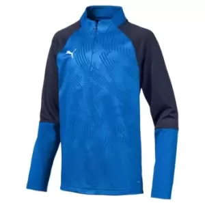 Image of Puma Training Zip Top Junior Boys - Blue