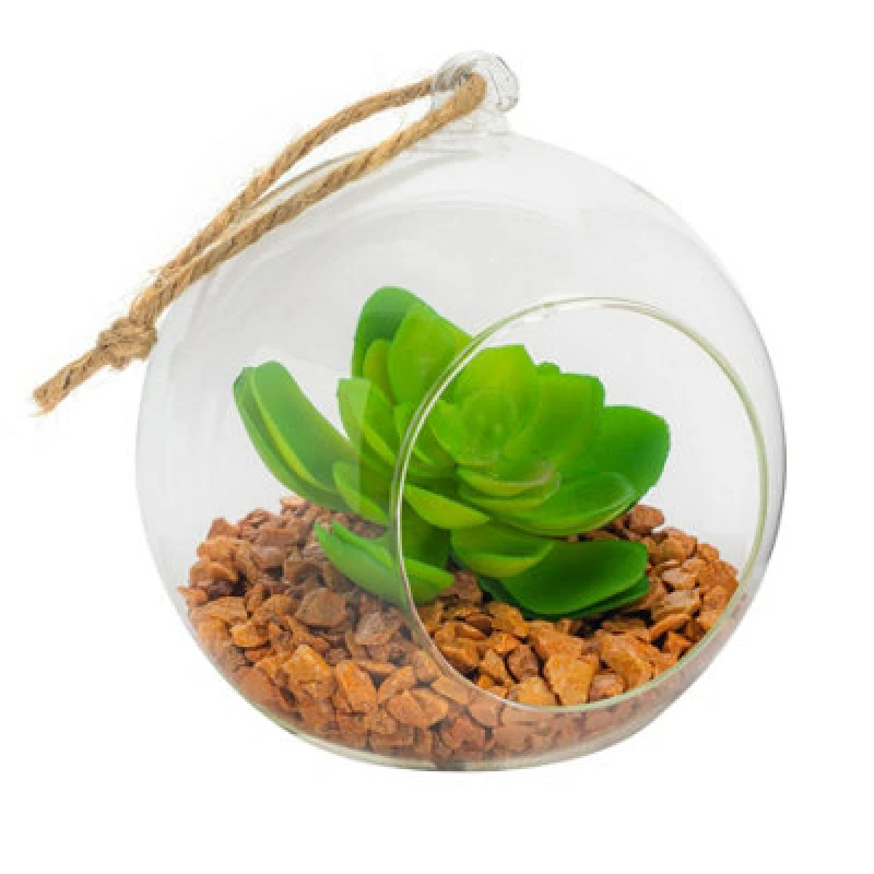 Image of Nicola Spring Hanging Glass Terrarium - 12Cm - Clear