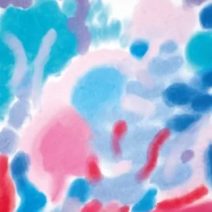 Image of Ginster by Isolee Vinyl Album