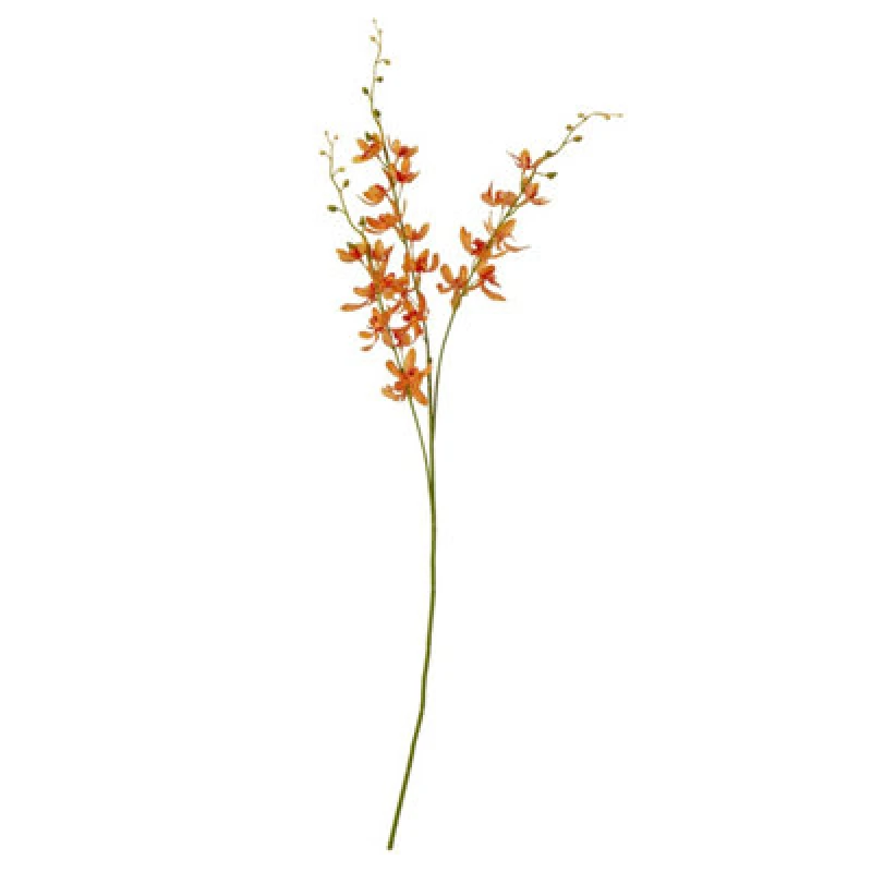 Image of Orange Cymbidium Spray