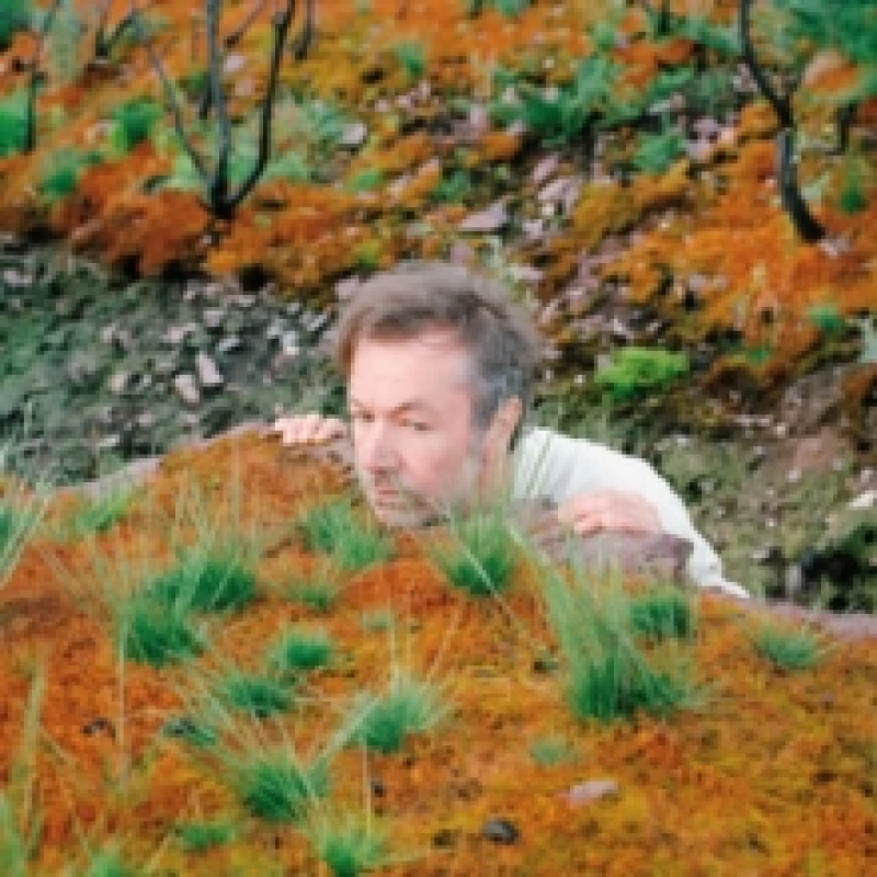 Image of The Mushroom Type Vinyl