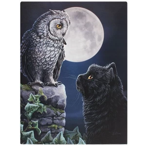 Image of Small Purrfect Wisdom Canvas by Lisa Parker