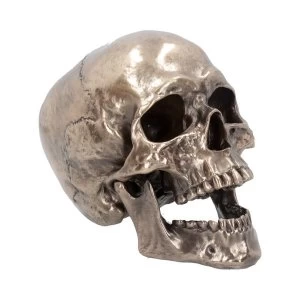 Image of Cranius Skull Figurine