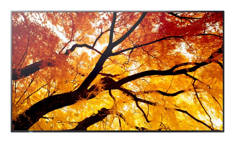Image of Sharp MultiSync M502 Digital signage flat panel 127cm (50") LCD