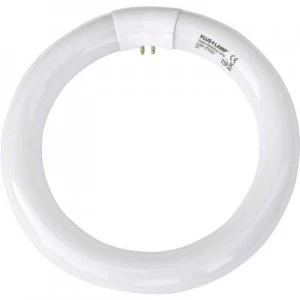 Image of UV ring light Plus Lamp UVA 22W round TVX22 UV fly trap Base G10q