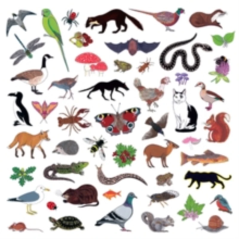 Image of Island of Noise CD / Album