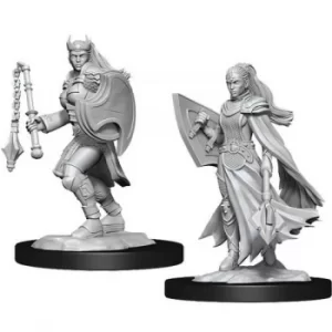Image of D&D Nolzur's Marvelous Unpainted Miniatures (W14) Kalashtar Cleric Female