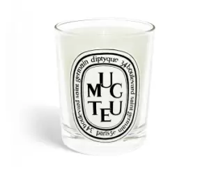 Image of Muguet / Lily of the Valley candle 190g