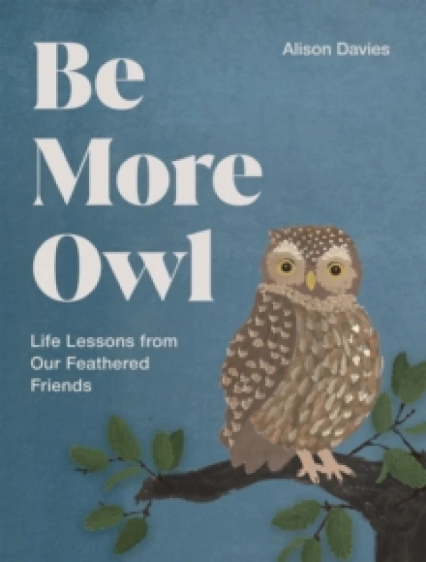 Image of Be More Owl : Life Lessons from Our Feathered Friends Hardback