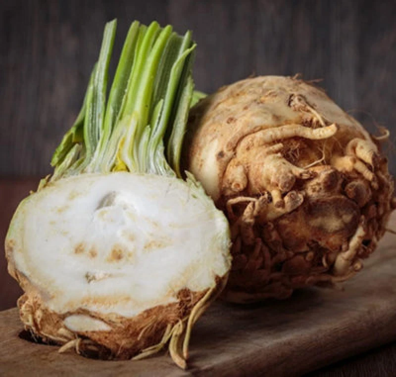 Image of Thompson & Morgan Celeriac Mars 1 Seed Packet (150 Seeds)