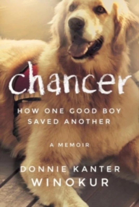Image of Chancer : How One Good Boy Saved Another Paperback / softback