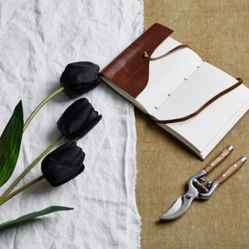 Image of Tall Black Triple Tulip Stem