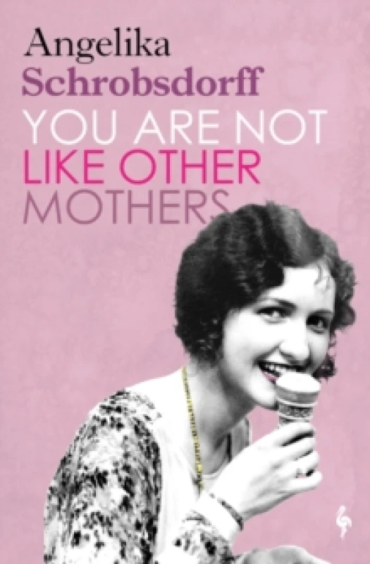 Image of You Are Not Like Other Mothers Paperback / softback