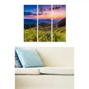 Image of MDF239488993 Multicolor Decorative MDF Painting (3 Pieces)