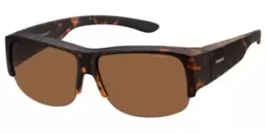 Image of Polaroid Sunglasses PLD 9007/S Polarized V08/HE