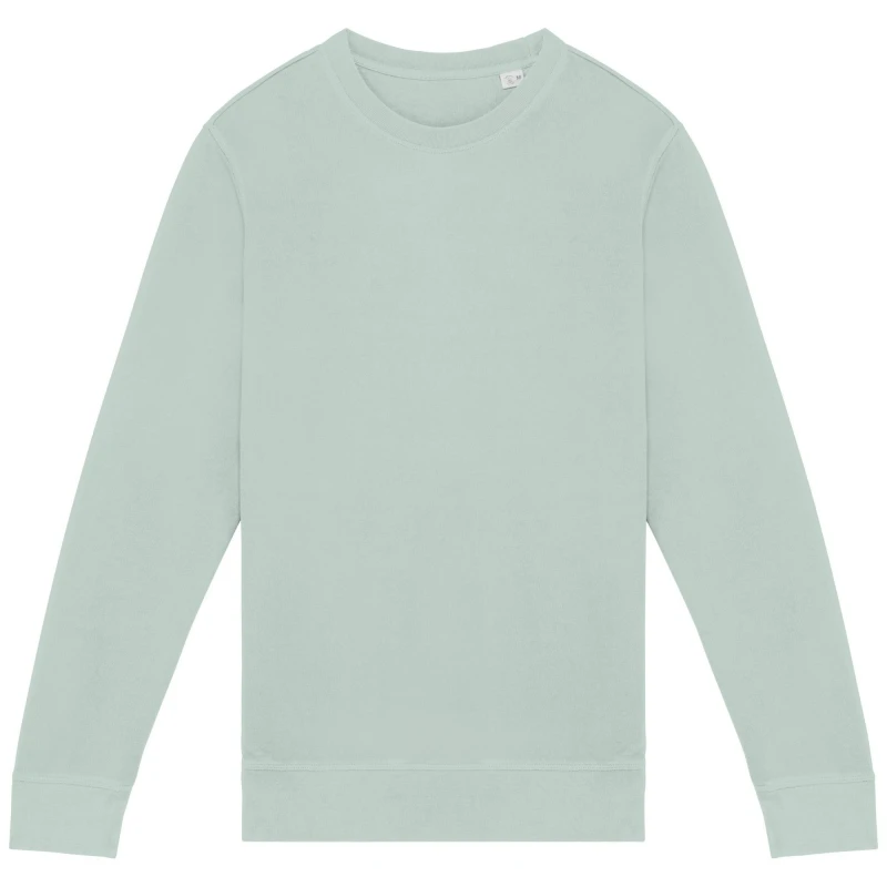 Image of Native Spirit Mens French Terry Sweatshirt in Light Green Size: XS Light Green Male XS
