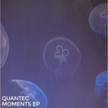 Image of Quantec - Moments Ep Vinyl