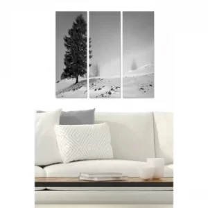 Image of MDF1971050 Multicolor Decorative MDF Painting (3 Pieces)