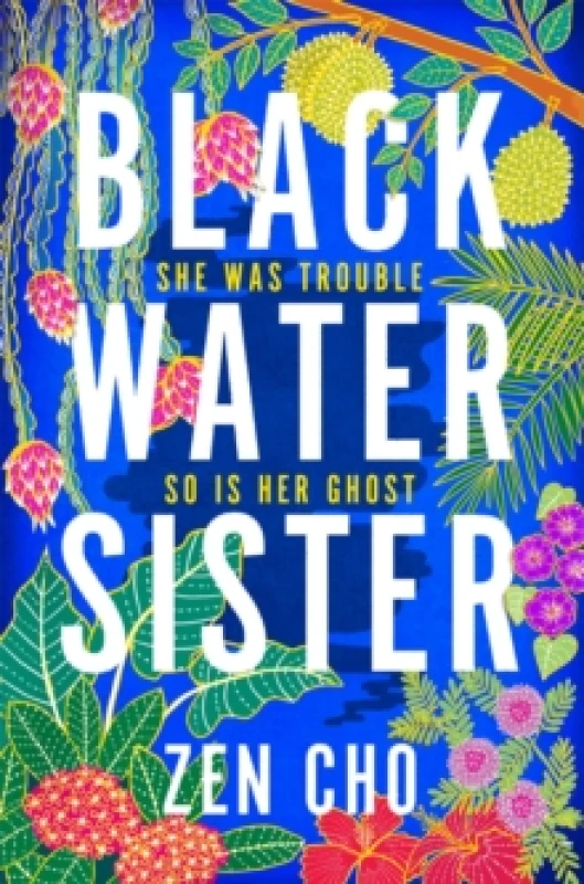Image of Black Water Sister Paperback / softback