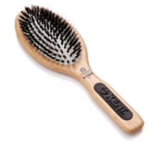 Image of Kent Perfect for Large Cushion Bristle Brush (PF01)