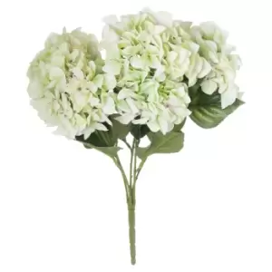 Image of Shabby Green Hydrangea Bouquet
