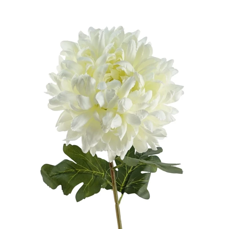 Image of Leaf 75cm Extra Large Reflex Chrysanthemum - White