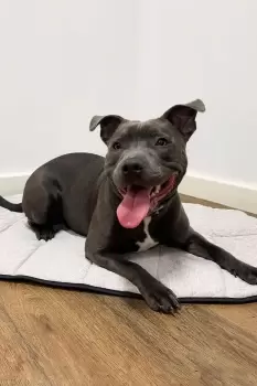 Image of Waterproof Cooling Travel Mattress