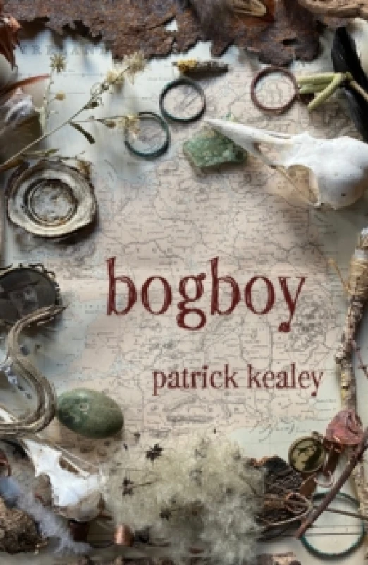 Image of Bogboy Paperback