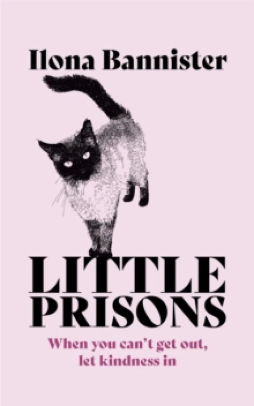 Image of Little Prisons Paperback / softback