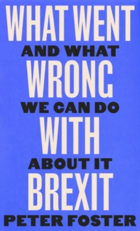 Image of What Went Wrong With Brexit : And What We Can Do About It Hardback