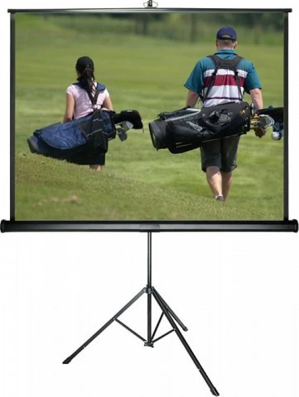Image of Sapphire AV STS200 projection screen 3.02 m (119") 1:1