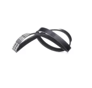 Image of RIDEX V-ribbed belt 305P0299 Serpentine belt,Auxiliary belt BMW,5 Limousine (E60),5 Touring (E61),X3 (E83),X5 (E70),X6 (E71, E72)