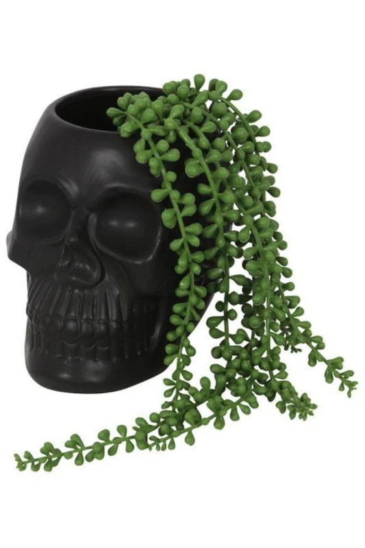 Image of Something Different Black Skull Plant Pot Black One Size