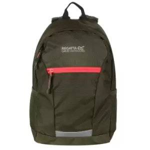 Image of Regatta Jaxon III Backpack (10 Litres) (One Size) (Cypress Green/Diva Pink)