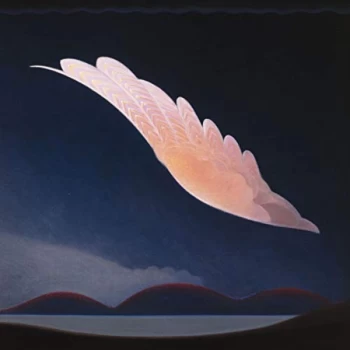 Image of Dean McPhee - Witchs Ladder Vinyl