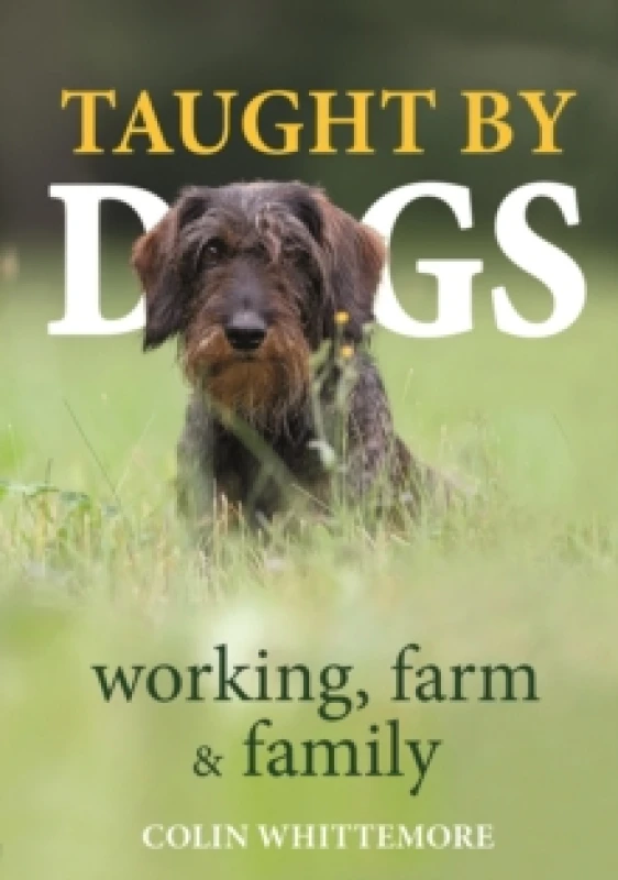Image of Taught by Dogs : working, farm and family Hardback