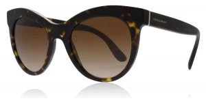 Image of Dolce & Gabbana DG4311 Sunglasses Havana 502/13 51mm