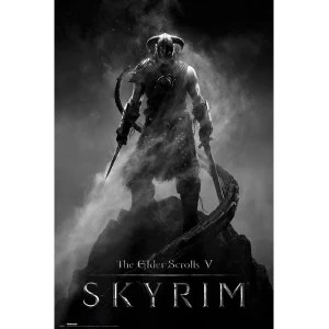 Image of Skyrim Dragonborn Maxi Poster