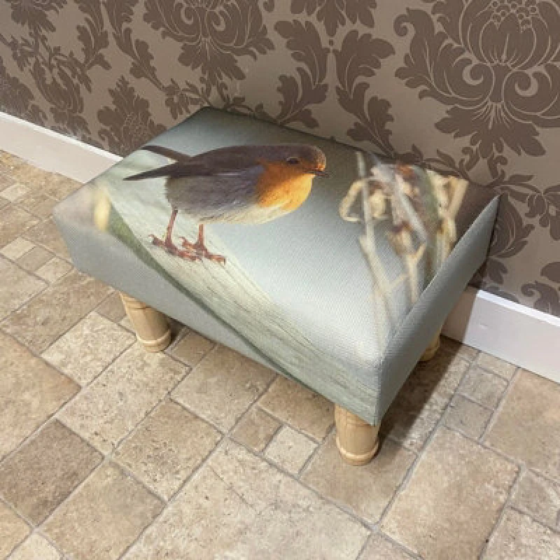 Image of Minster Robin Footstool - L25 X W45 X H28 Cm
