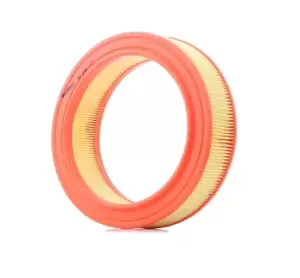 Image of FILTRON Air filter AR 226 Engine air filter,Engine filter FORD,CAPRI III (GECP),GRANADA (GU),SIERRA Schragheck (GBC),Capri (ECJ),CAPRI II (GECP)