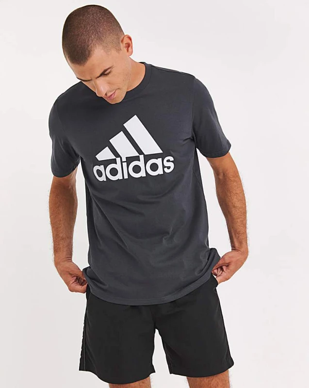 Image of Adidas adidas Big Logo T-Shirt Grey Male XL44/48 DI53104