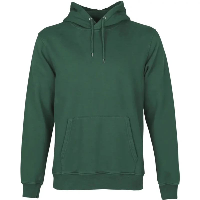 Image of Colorful Standard Hoodie Colorful Standard Classic Organic emerald green Vert Unisex L