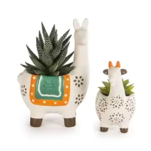 Image of Animal Succulent Planter Pots - Set of 2 M&W