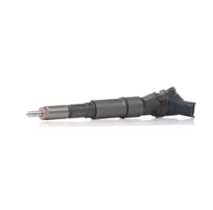 Image of Bosch Injectors 0 445 110 266 Fuel Injectors,Injector Nozzle BMW,LAND ROVER,3 Limousine (E46),5 Limousine (E39),3 Touring (E46),5 Touring (E39)