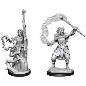 Image of D&D Nolzur's Marvelous Unpainted Miniatures (W13) Firbolg Druid Female