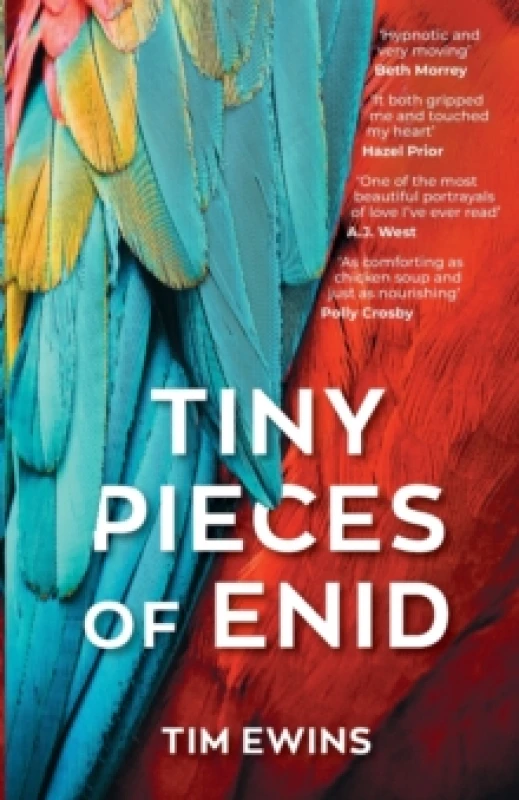 Image of Tiny Pieces of Enid Paperback / softback