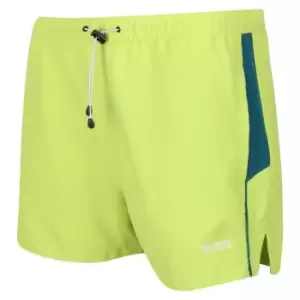 Image of Regatta Rehere Swim Shorts - Green
